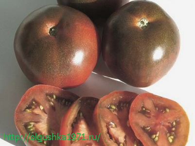 Самые урожайные сорта томатов для теплиц.