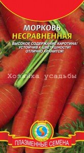 Сорта моркови для Сибири.