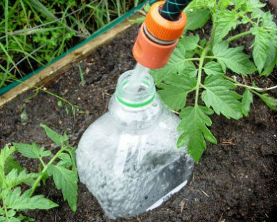 Капельный полив помидор в теплице через пластиковые бутылки
