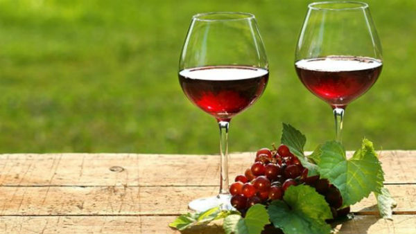 Домашнее вино из красной смородины пошагово в домашних условиях